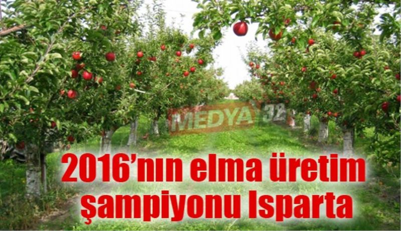 2016’nın elma üretim şampiyonu Isparta