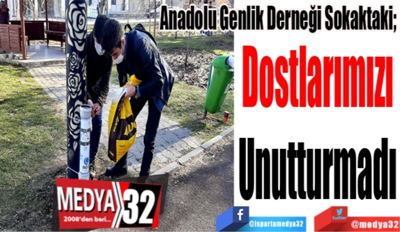 Anadolu Genlik Derneği Sokaktaki; 
Dostlarımızı
Unutturmadı
