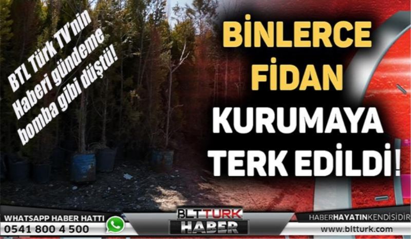 BTL Türk TV’nin haberi gündeme bomba gibi düştü! 
Fidanlar
Kurumaya 
Yüz tuttu 
İddiası! 
