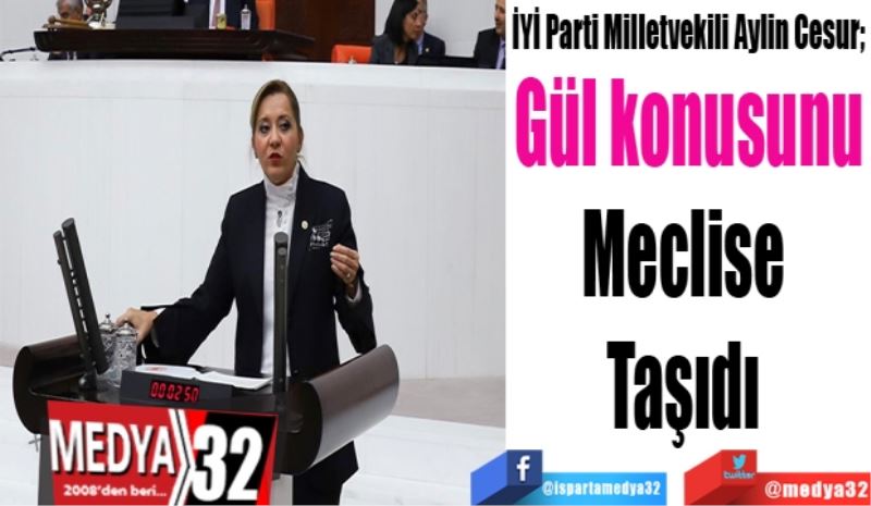 İYİ Parti Milletvekili Aylin Cesur; 
Gül konusunu
Meclise 
Taşıdı 
