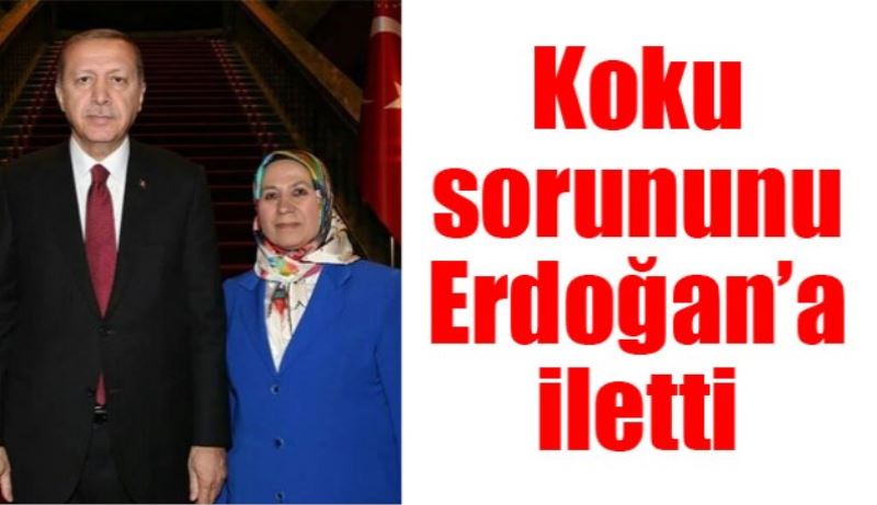 Koku sorununu Erdoğan’a iletti 
