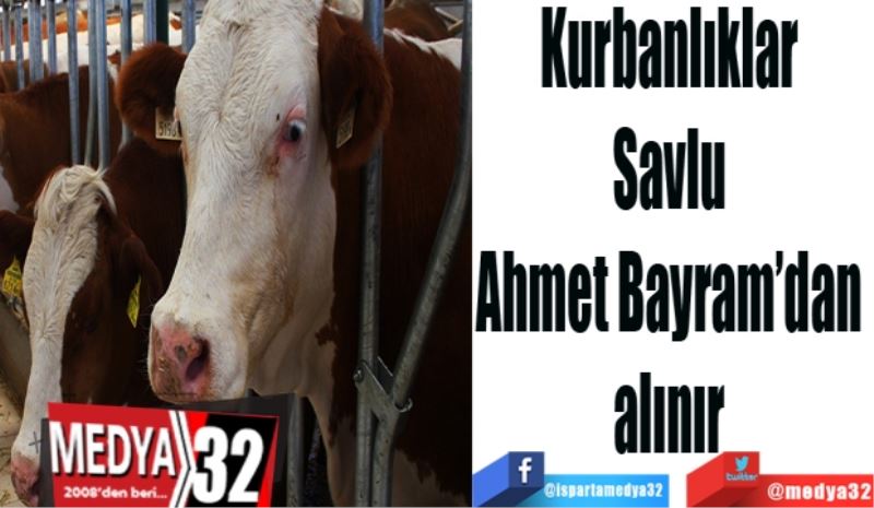 Kurbanlıklar 
Savlu 
Ahmet Bayram’dan 
alınır 
