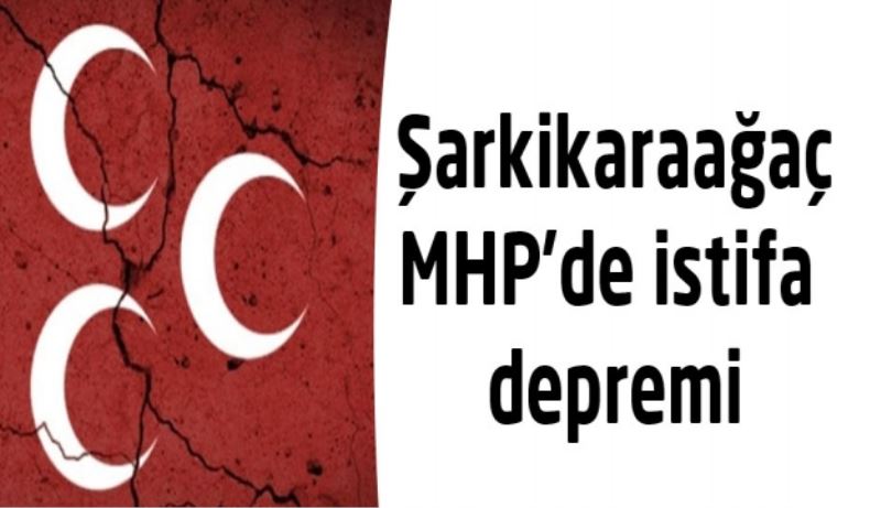 Şarkikaraağaç MHP