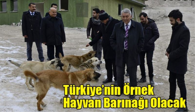 Türkiye’nin Örnek Hayvan Barınağı Olacak