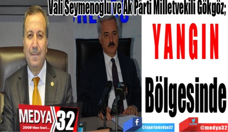 Vali Seymenoğlu ve Ak Parti Milletvekili Gökgöz; 
Yangın 
Bölgesinde 
