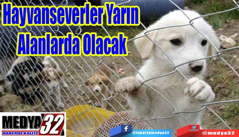 Hayvanseverler Yarın  Alanlarda Olacak 