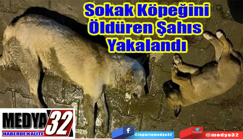 Sokak Köpeğini Öldüren Şahıs  Şakalandı 