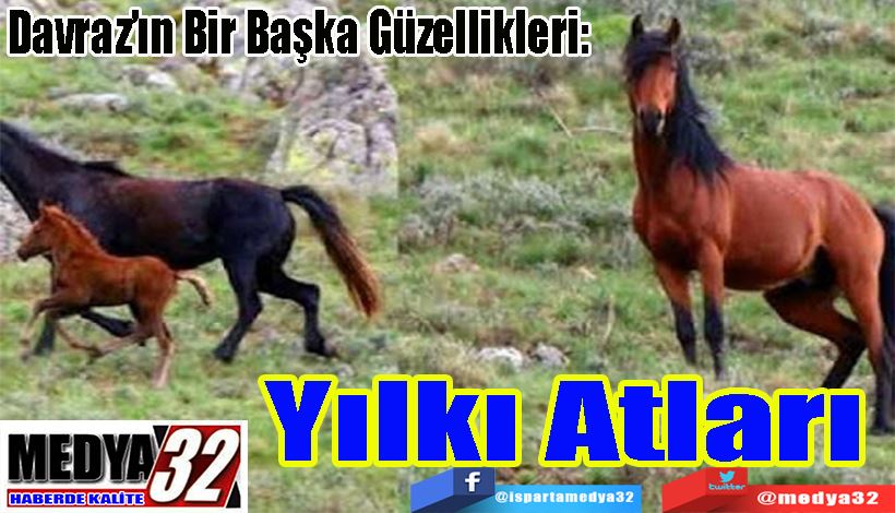 Davraz’ın Bir Başka Güzellikleri:  Yılkı Atları