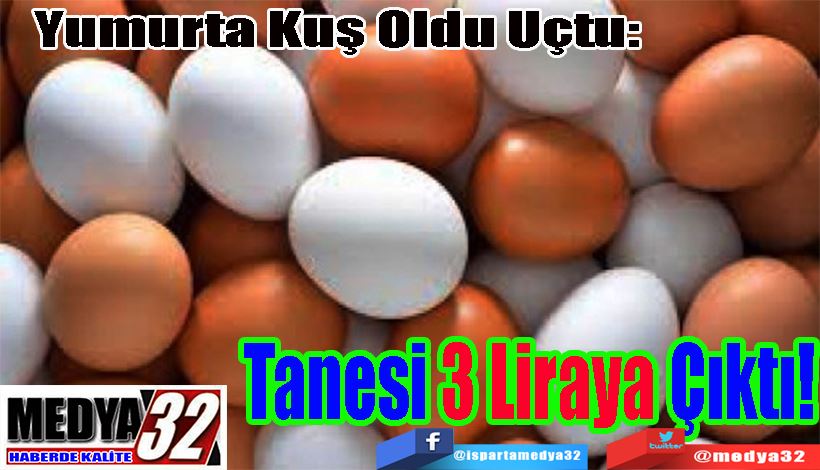 Yumurta Kuş Oldu Uçtu:  Tanesi 3 Liraya Çıktı!