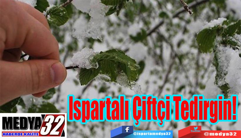 Ispartalı Çiftçi Tedirgin! 