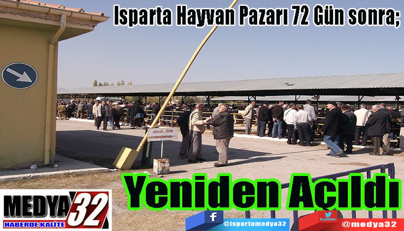 Isparta Hayvan Pazarı 72 Gün sonra;  Yeniden Açıldı 