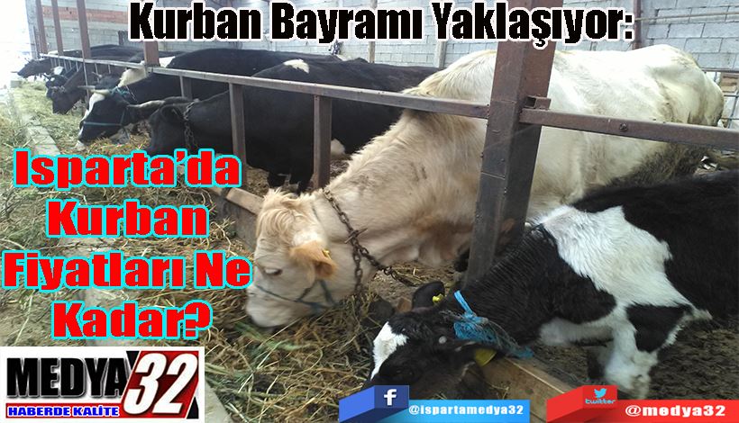 Kurban Bayramı Yaklaşıyor:  Isparta’da Kurban  Fiyatları Ne Kadar?