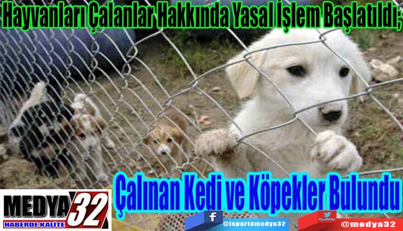 Hayvanları Çalanlar Hakkında Yasal İşlem Başlatıldı;  Çalınan Kedi ve Köpekler Bulundu 