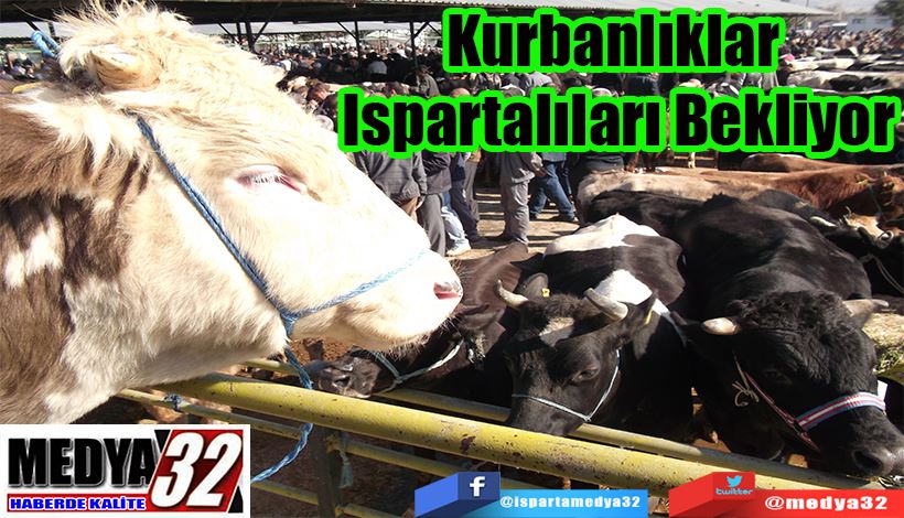 Kurbanlıklar  Ispartalıları Bekliyor