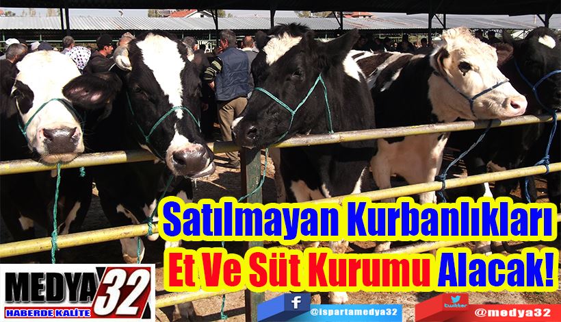 Satılmayan Kurbanlıkları  Et Ve Süt Kurumu Alacak! 