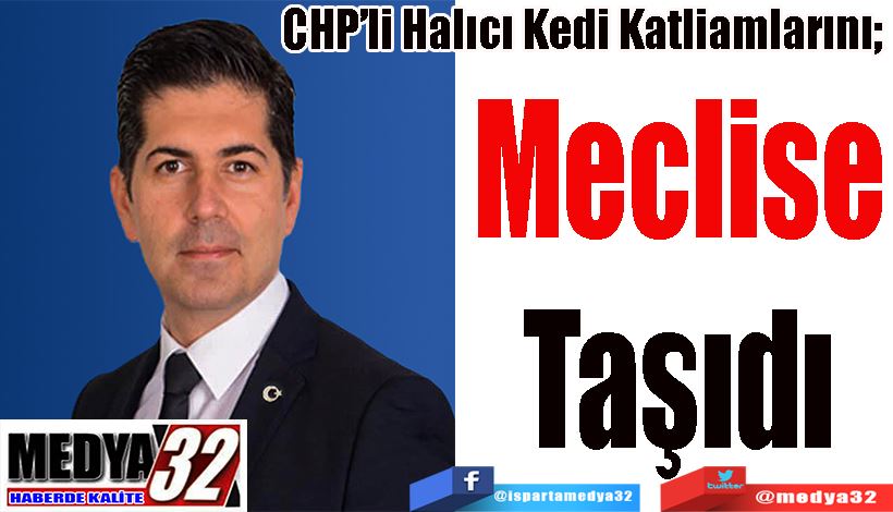 CHP’li Halıcı Kedi Katliamlarını;  Meclise Taşıdı