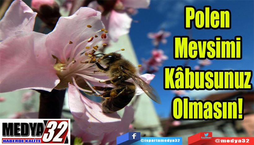 Polen Mevsimi  Kâbusunuz Olmasın! 