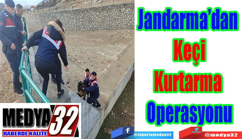 Jandarma’dan Keçi Kurtarma Operasyonu