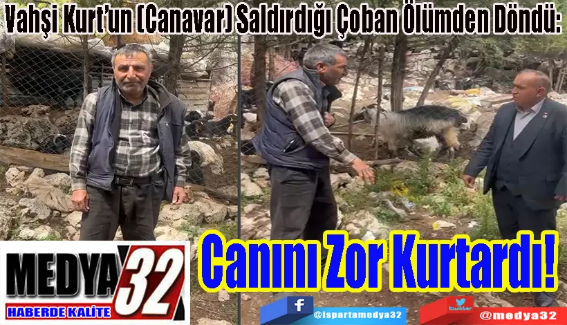 Vahşi Kurt’un (Canavar) Saldırdığı Çoban Ölümden Döndü:  Canını Zor Kurtardı! 