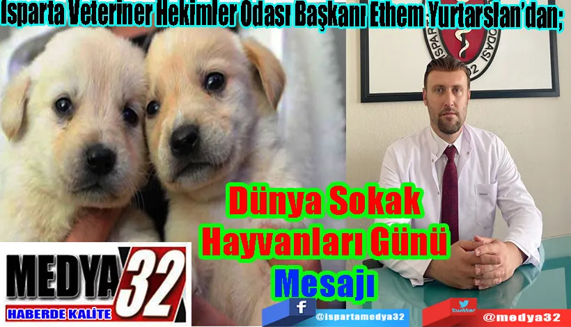  Isparta Veteriner Hekimler Odası Başkanı Ethem Yurtarslan’dan; Dünya Sokak  Hayvanları Günü  Mesajı 