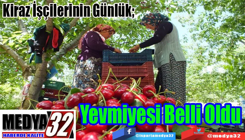 Kiraz İşçilerinin Günlük;   Yevmiyesi Belli Oldu