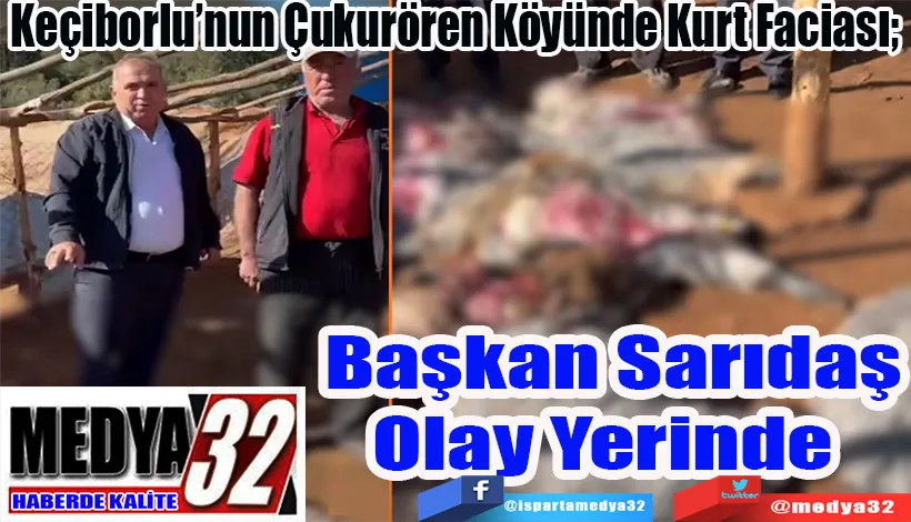Keçiborlu’nun Çukurören Köyünde Kurt Faciası;  Başkan Sarıdaş  Olay Yerinde 