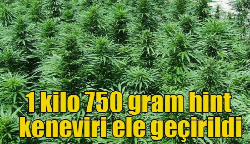 1 kilo 750 gram Hint Keneviri ele geçirildi 