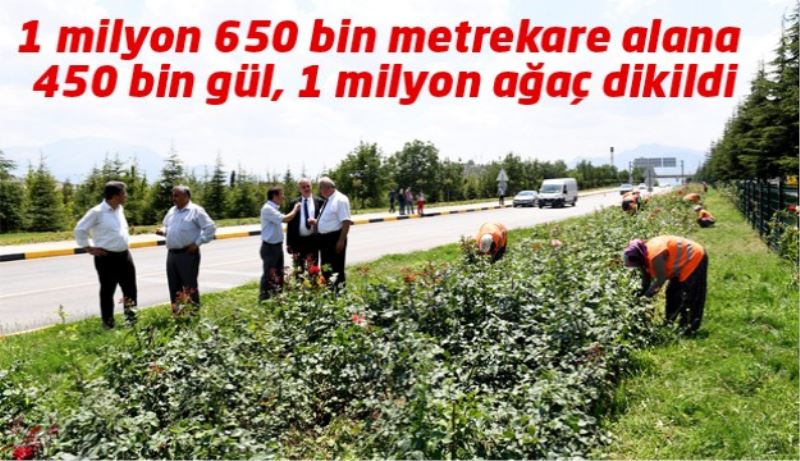 1 milyon 650 bin metrekare alana 450 bin gül, 1 milyon ağaç dikildi