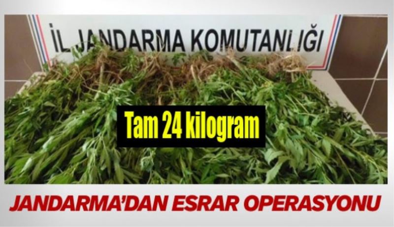 24 kilogram esrar ele geçirildi 