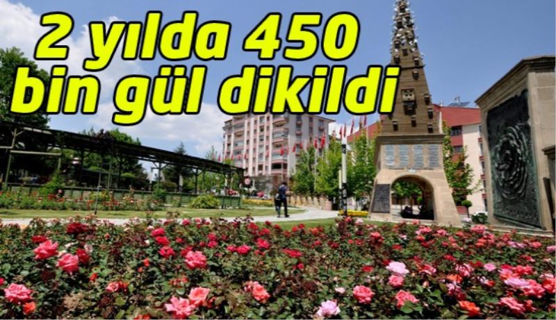 2 yılda 450 bin gül dikildi