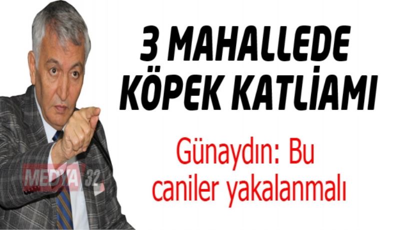 3 mahallede köpek katliamı