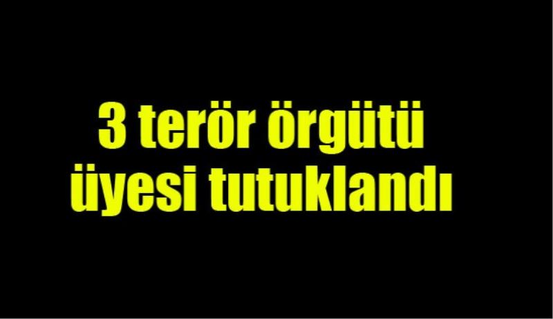 3 terör örgütü üyesi tutuklandı