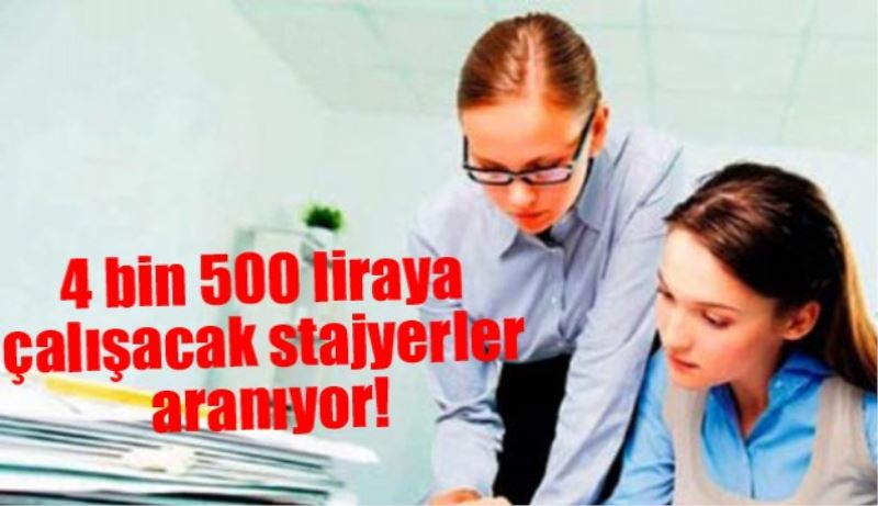 4 bin 500 liraya çalışacak stajyerler aranıyor!