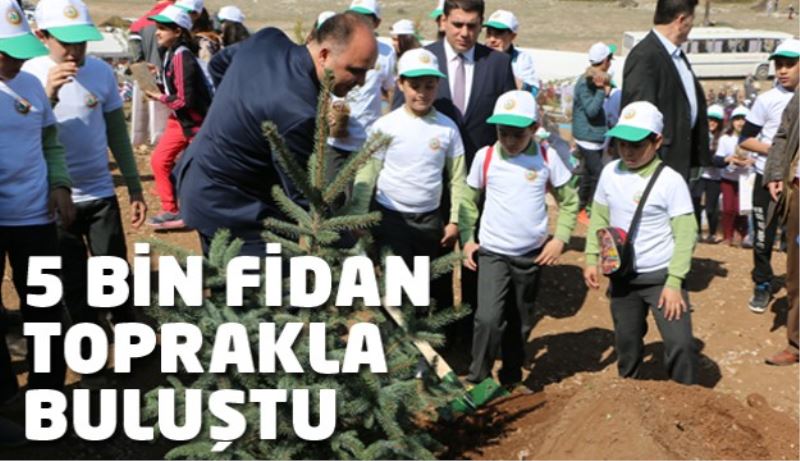 5 bin fidan toprakla buluştu