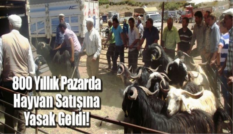 800 Yıllık Pazarda Hayvan Satışına Yasak Geldi!