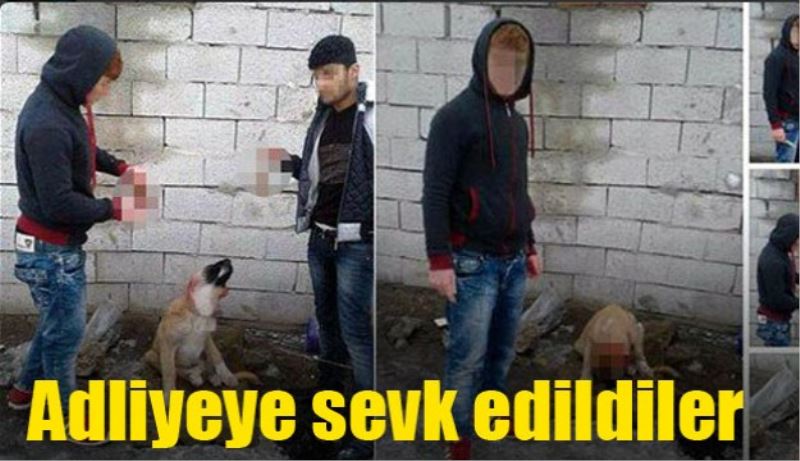 Adliyeye sevk edildiler