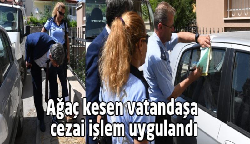 Ağaç kesen vatandaşa cezai işlem uygulandı