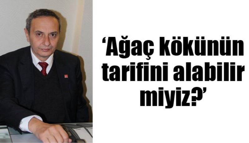 ‘Ağaç kökünün tarifini alabilir miyiz?’