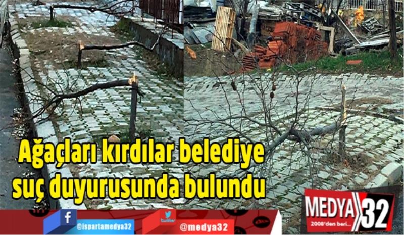 Ağaçları kırdılar belediye suç duyurusunda bulundu 
