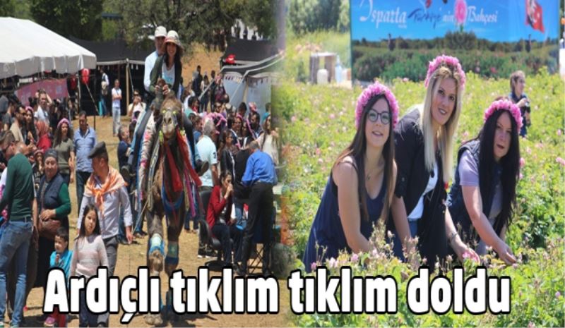 Ardıçlı tıklım tıklım doldu