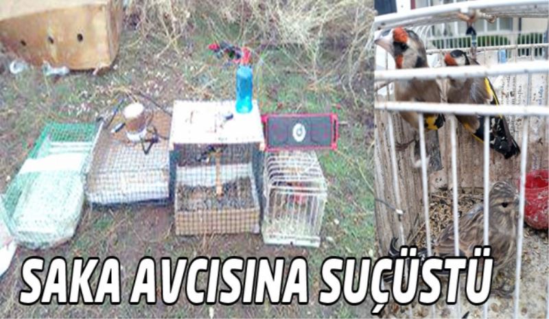 Saka avcısına suçüstü 