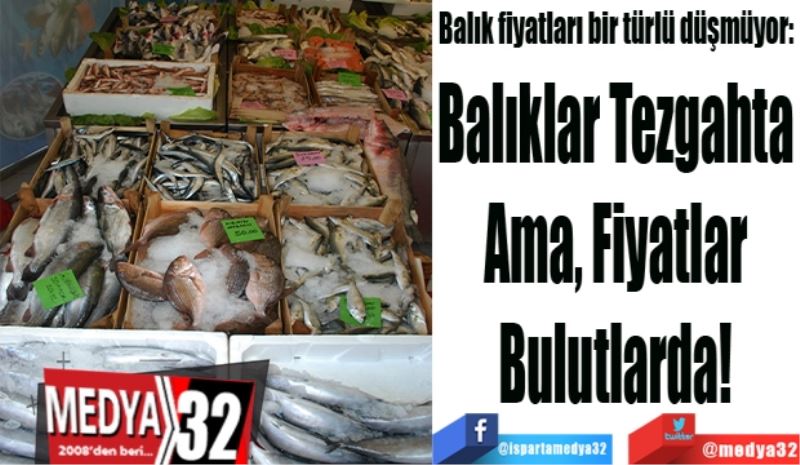 Balık fiyatları bir türlü düşmüyor: 
Balıklar Tezgahta ama, 
Fiyatlar Bulutlarda! 
