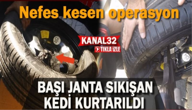 Başı janta sıkışan kedi kurtarıldı