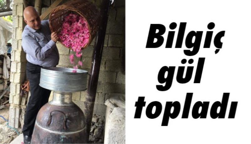 Bilgiç, gül topladı 