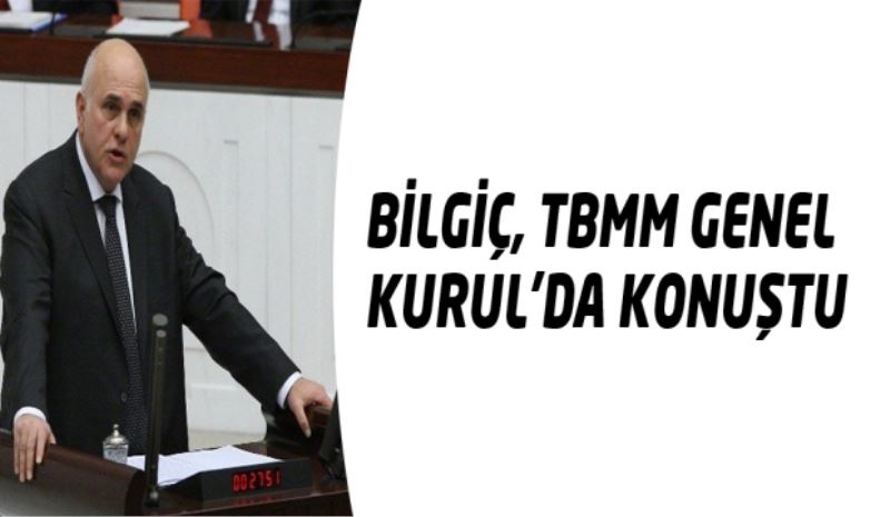 Bilgiç, TBMM Genel Kurul