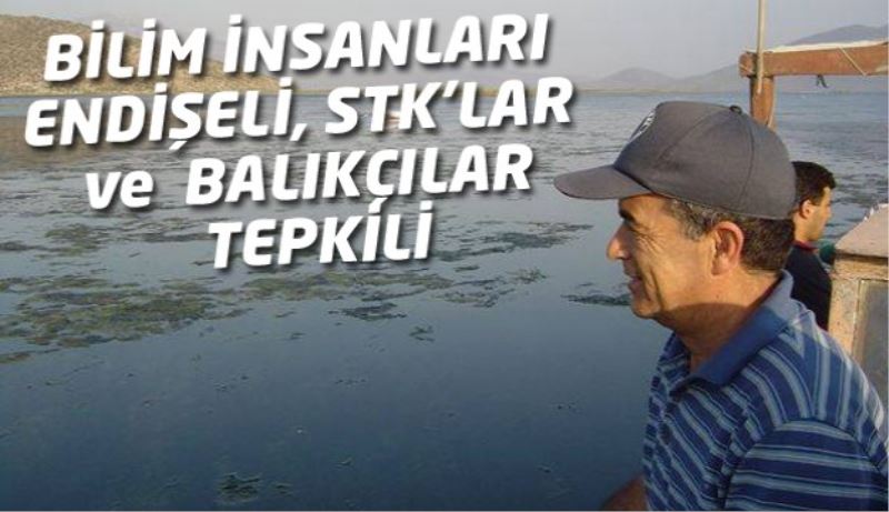 BİLİM İNSANLARI ENDİŞELİ, STK’LAR ve  BALIKÇILAR TEPKİLİ