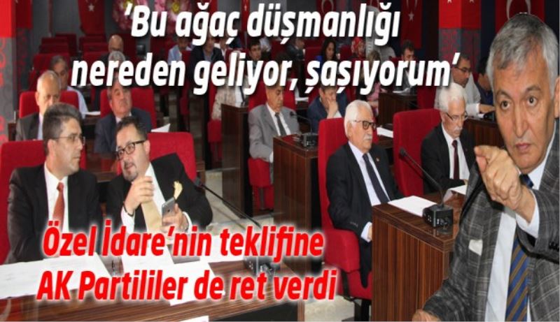 ‘Bu ağaç düşmanlığı nereden geliyor, şaşıyorum’