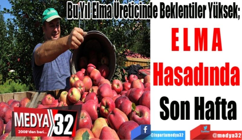 Bu Yıl Elma Üreticinde Beklentiler Yüksek; 
Elma Hasadında Son Hafta
