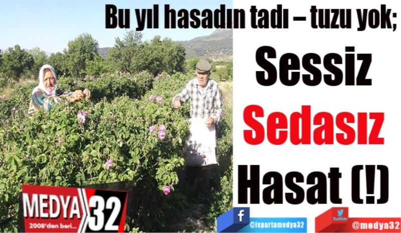 Bu yıl hasadın tadı – tuzu yok; 
Sessiz 
Sedasız 
Hasat (!) 
