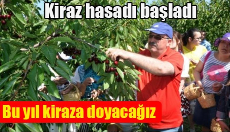 Bu yıl kiraza doyacağız